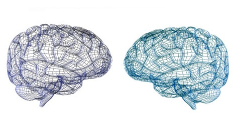 Divided-Brain-report