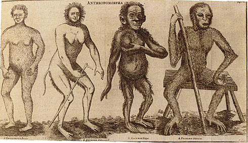 linnaeus homo_sapiens