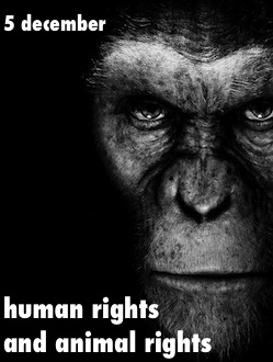 HUMAN RIGHTS AND ANIMAL RIGHTS | Pandaemonium
