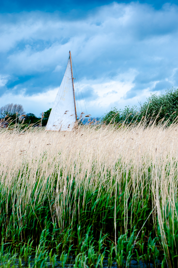 sailing in the broads