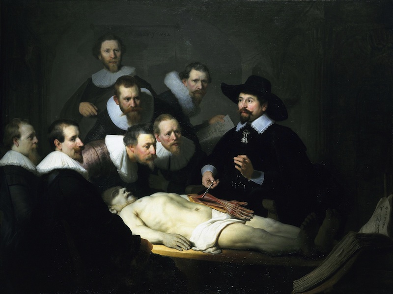 rembrandt anatomy lesson