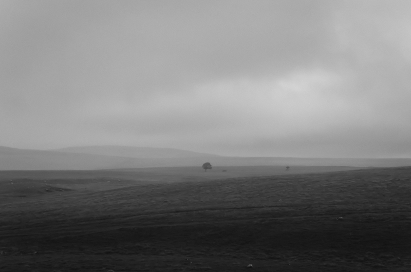 malham black & white