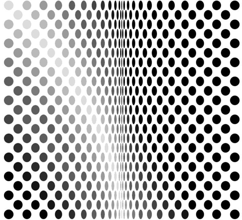 bridget riley loss