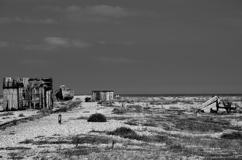 dungeness 5