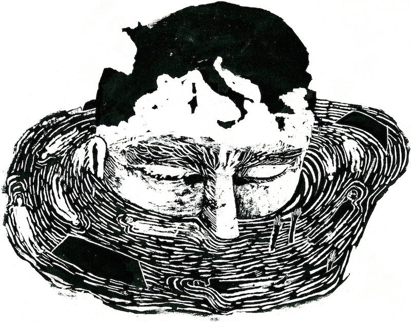 arianna vairo nyt migration