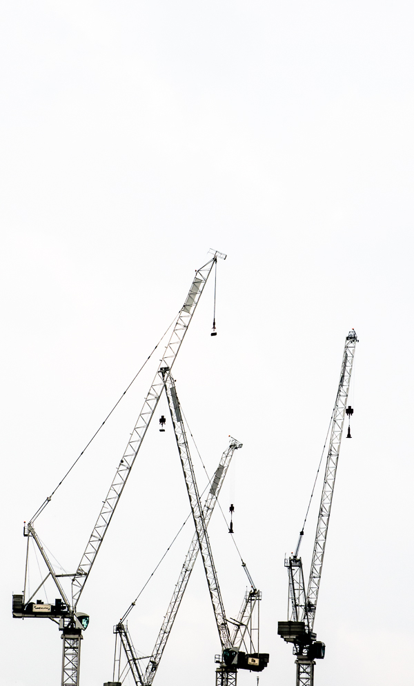 cranes18