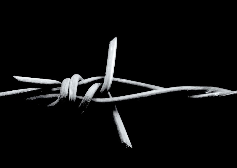 barbed wire