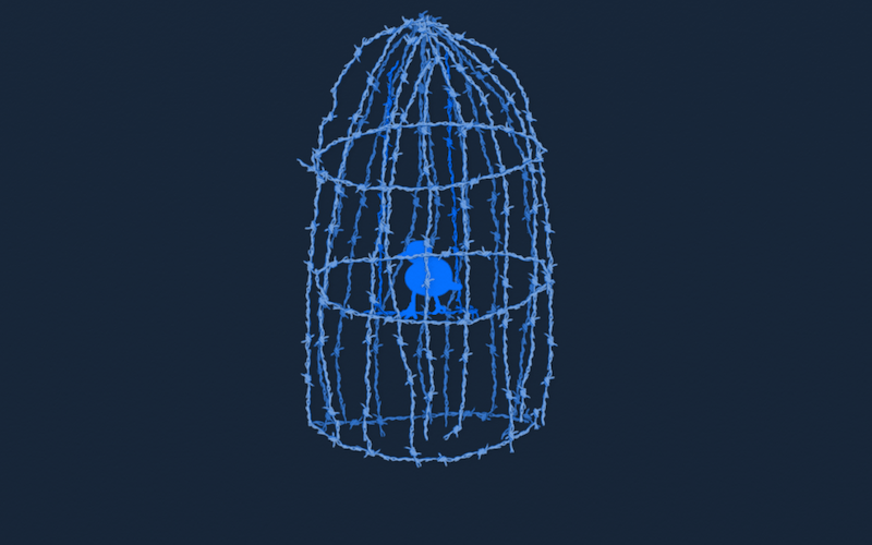caged blue bird