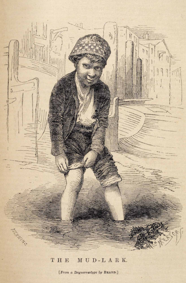 8276.e.55, vol. 2, f. 136