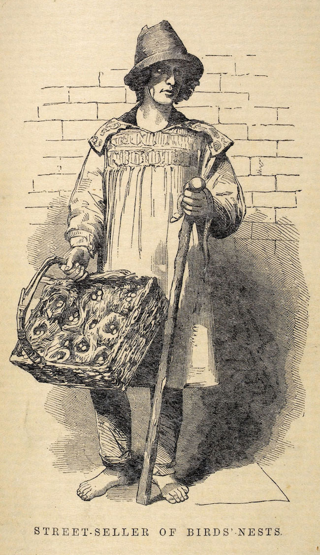 Street seller of bird's nests