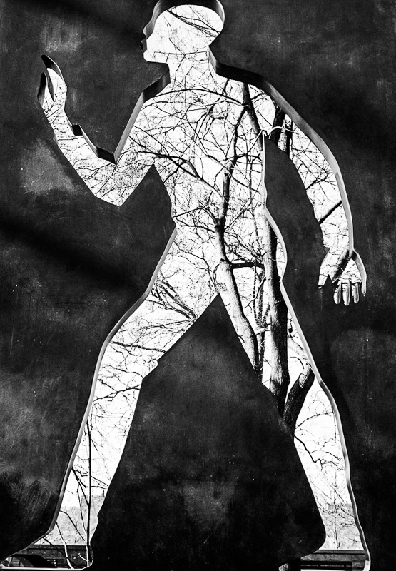 harlem invisible man