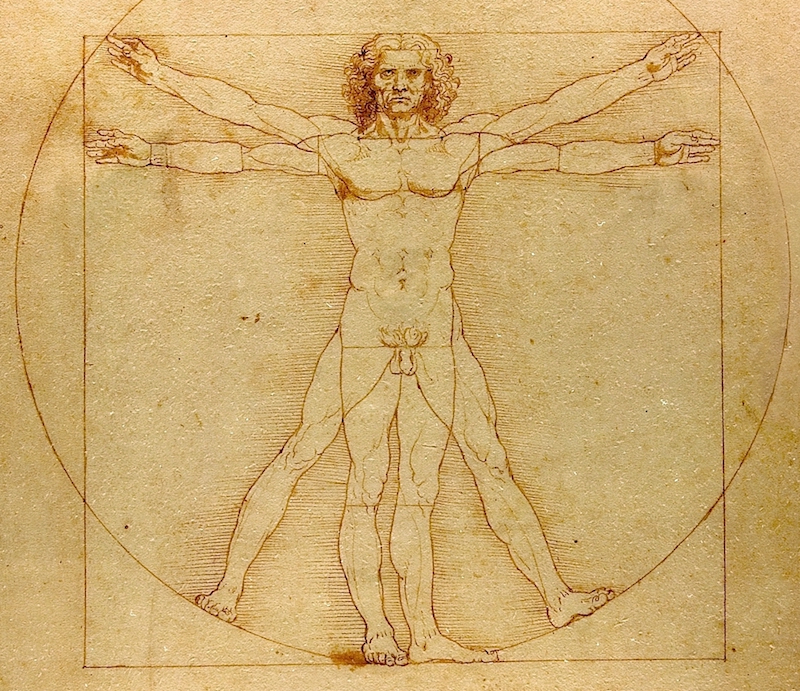 Da Vinci Vitruvian Man