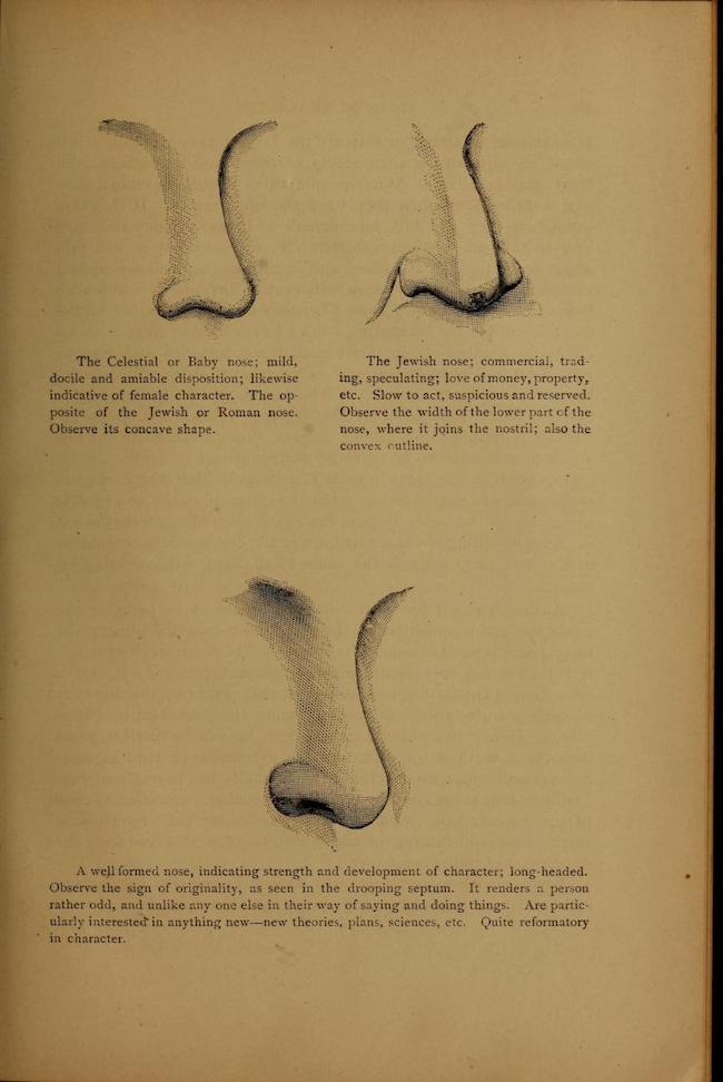 Alfred E Willis Illustrated Physiognomy 1879
