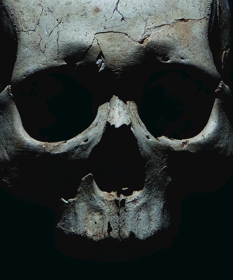 skull from prehistoric burial site near teouma bay, vanuatu david maurice smith:new york times