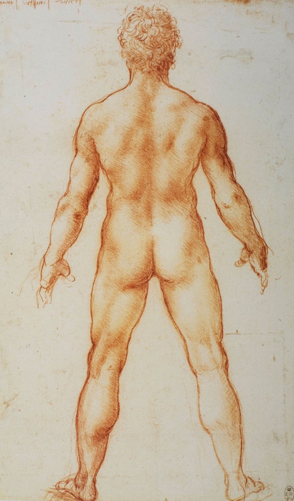 Leonardo A male nude from behind