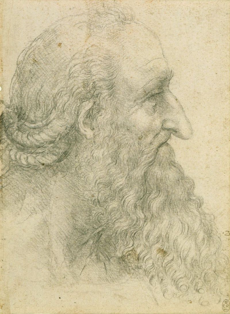 Leonardo The head of an old bearded man