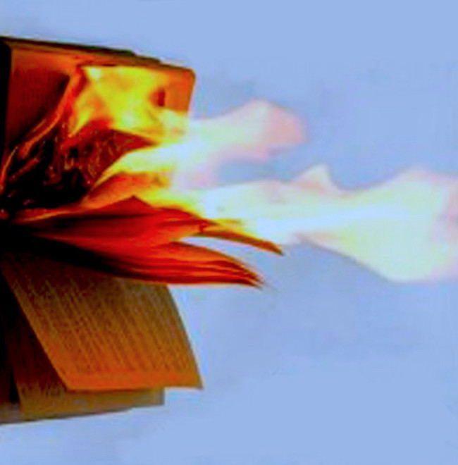 burning book