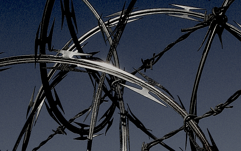 barbed wire 3