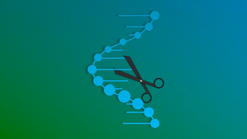 Crispr graphic