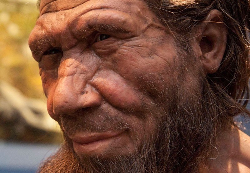 Neanderthal