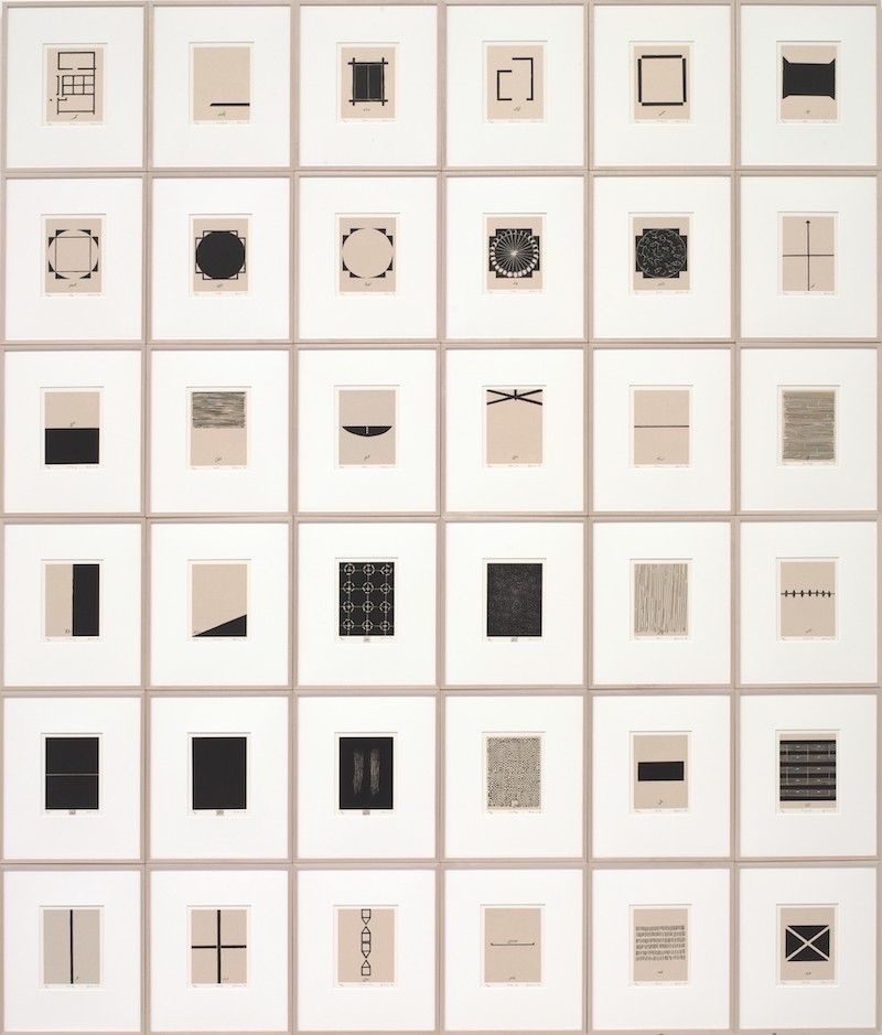 Zarina 'Home is a Foreign Place'